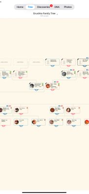 MyHeritage screenshot 1