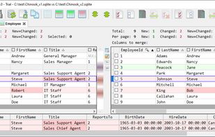 Compare and merge records for the given table/view