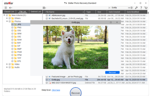 Select files after the scan and click 'Recover'to save recovered data
