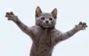 Captionpop screenshot 2