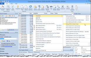Duplicate File Detective screenshot 3