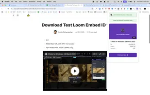 Loom Video Downloader screenshot 2