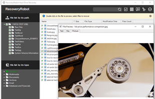 RecoveryRobot Hard Drive Recovery - Image Preview