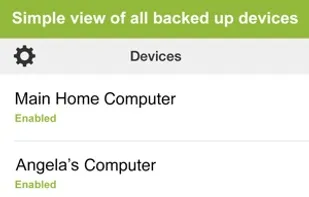 Carbonite screenshot 3