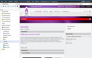 Main editing user interface