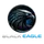 BlackEagleAI icon