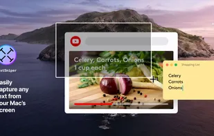TextSniper screenshot 1