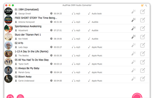 AudFree DRM Audio Converter screenshot 2