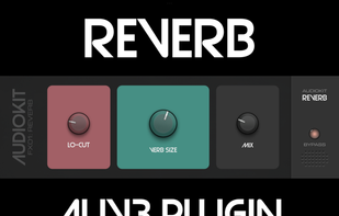 AudioKit Reverb screenshot 1