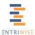 Entriwise icon