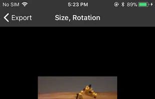 Onion Cam2 screenshot 3