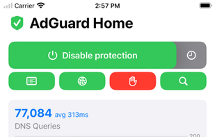 AdGuard Home Remote screenshot 1