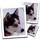 SmillaEnlarger icon