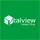 Talview icon
