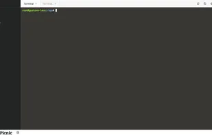 Access your consoles through a web-based terminal.