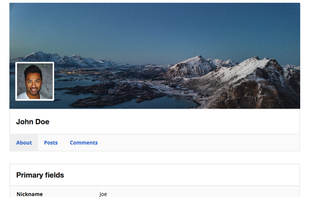 WP User Manager screenshot 2