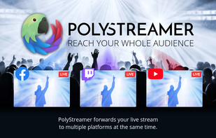 PolyStreamer screenshot 1