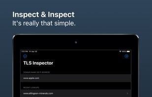 TLS Inspector screenshot 2