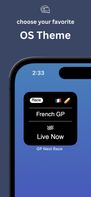 GP Next Race screenshot 3