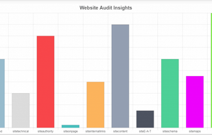 DigitalBull Go - Free Local SEO Audit Tool screenshot 1