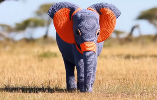 Google Veo screenshot 1