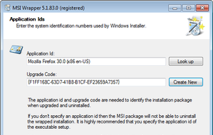 MSI Wrapper screenshot 2
