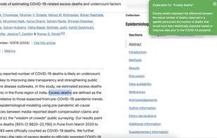 Vocab Buddy being used to explain a phrase
