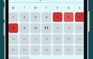 Lady Log screenshot 1