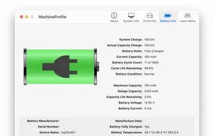 MachineProfile also displays internal battery information for Mac notebook computers.
