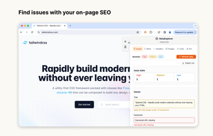 Check your on-page seo issues