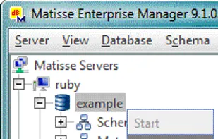 Matisse screenshot 3