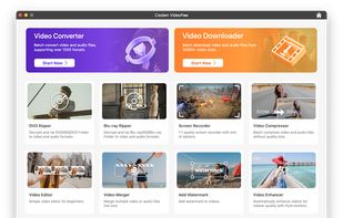 videopaw main interface