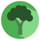 Broccoli Recipe app icon