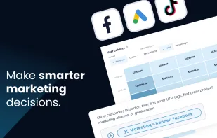 Lebesgue AI CMO screenshot 1