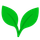 Markleaf icon