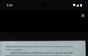 Offline Translator screenshot 2