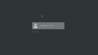 The logon screen