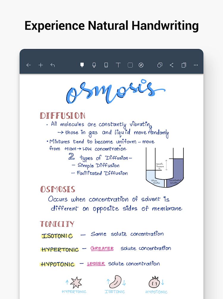 Noteshelf, Note-taking app