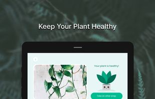Plant Doctor : Disease Diagnosis screenshot 1