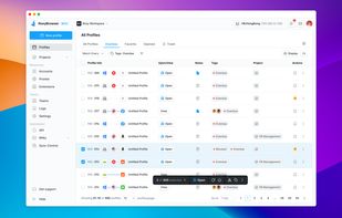 RoxyBrowser screenshot 1