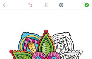 Mandala Coloring Pages for Adults screenshot 2