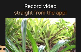 Cinemask screenshot 3