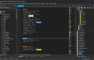 Rapid CSS Editor screenshot 1