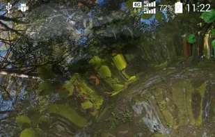 Water Garden Live Wallpaper screenshot 1
