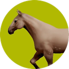 Horse icon