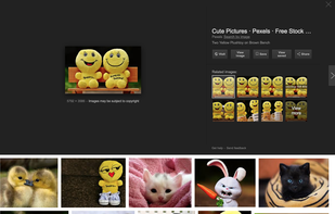 View image in Google Images screenshot 1