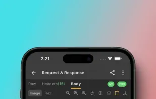 Reqable screenshot 3