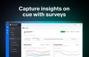 Surveys