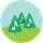 Pine Player icon