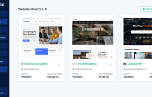 Website Uptime Monitors